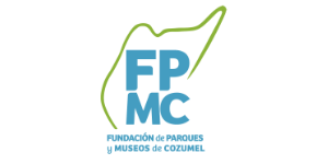 06 fp mc